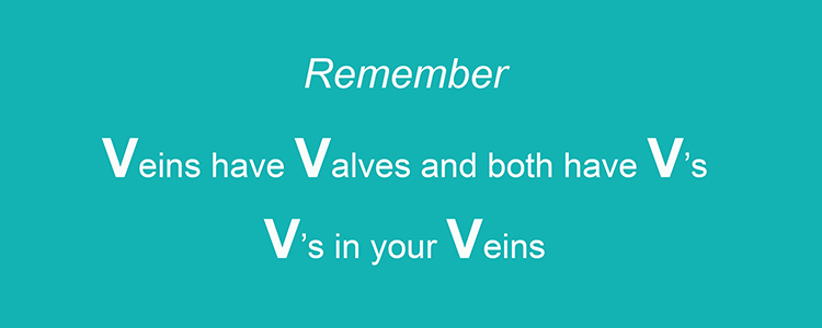 Remember revision guide trying to make remembering veins have valves easier